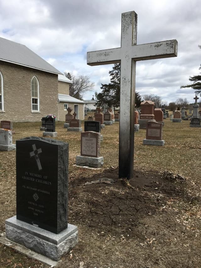 St. Francis Cemetery Fire 2018 768x1024